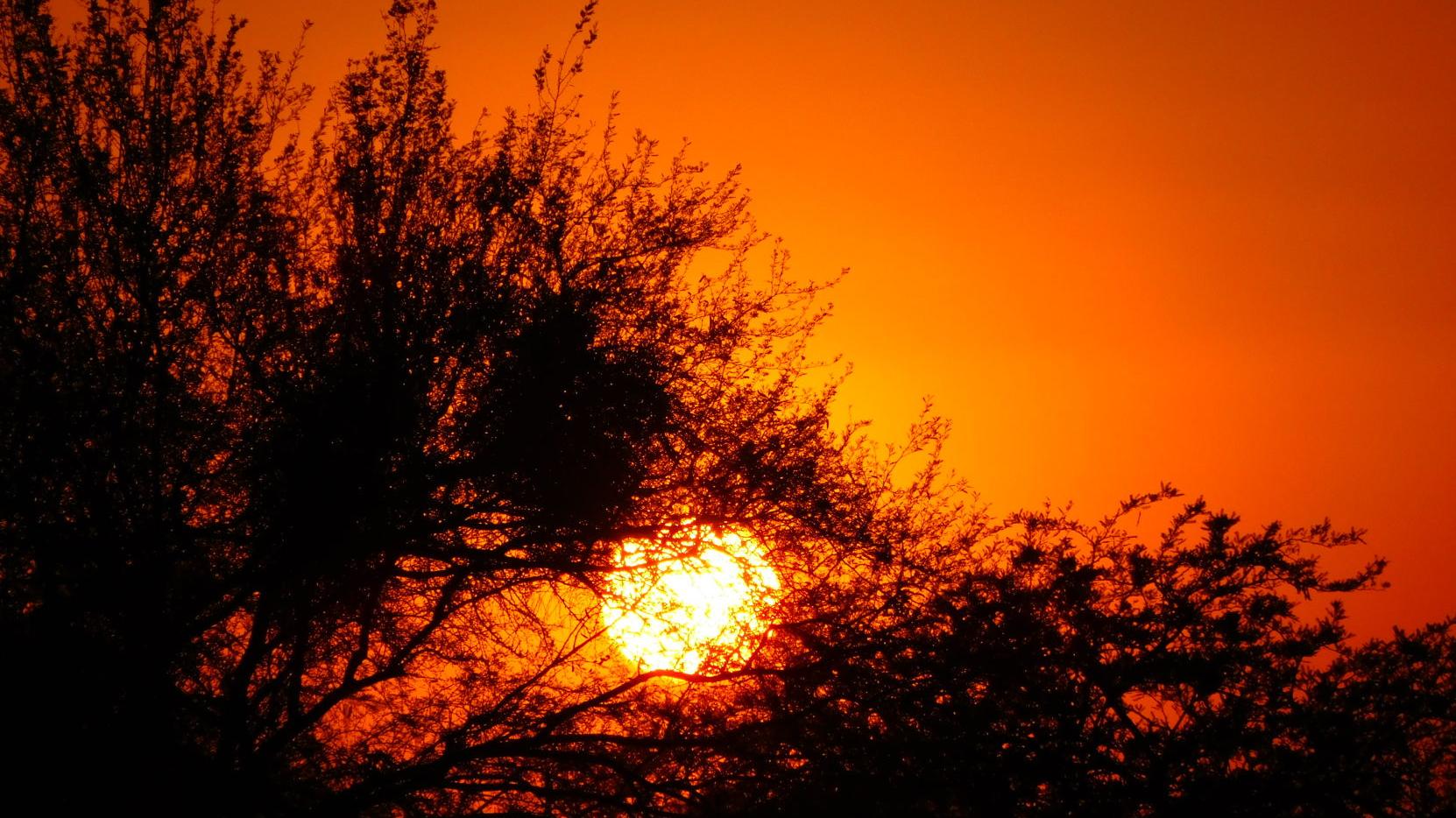 Fiery Tucson Sunset